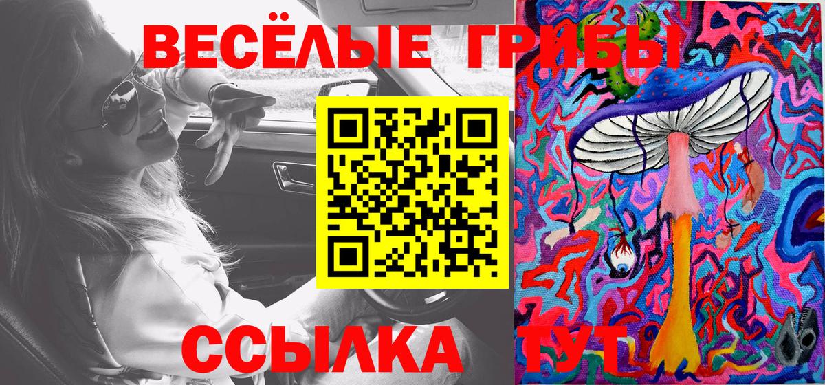 Псилоцибиновые грибы GOLDEN TEACHER Азнакаево