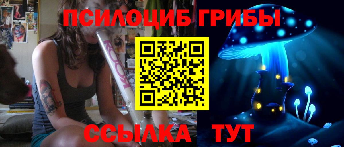 Азнакаево  Псилоцибиновые грибы GOLDEN TEACHER  Галлюциногенные грибы GOLDEN TEACHER  Вход с VPN 